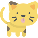افراد