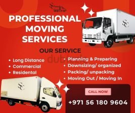 PROFESSIONAL MOVING SERVICE