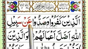 أنا في المنزل تعليم القرآن الكريم مدينة أبو ظبي صفر خمسة
