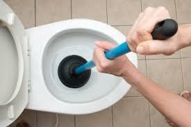 Toilet Clog Remover