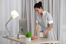 Professional Maid Service