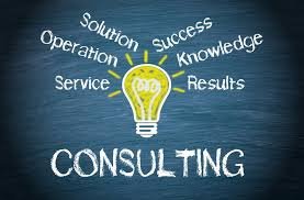BUSINESS SETUP, VISA, BANKING, LEGAL, PRO SERVICES