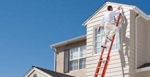 PROFESSIONAL PAINTING SERVICES AND ROOF WATER PROF