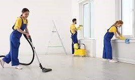 PROFESSIONAL MAID/NANNY/HOUSEKEEPER