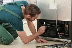 Best fridge Repairing services