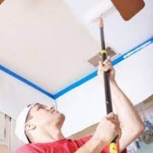 Home Painter , Villa Painter , Office Painters