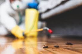 Book Cockroaches Pest Control Service