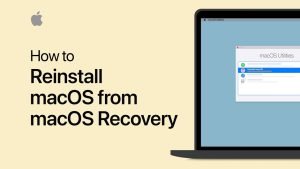 Expert Mac System Reinstallation