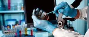 Accurate Diagnostics Hub