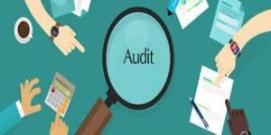 Audit Support Team