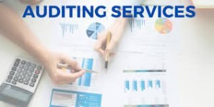 Audit Solutions With Style