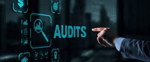Audit Support experts