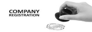 Visionary Legal Solutions