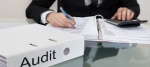Audit Services With Integrity