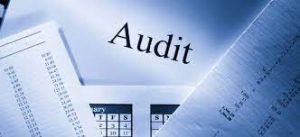 Expert Audit Professionals