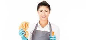 House Maids and cleaning services