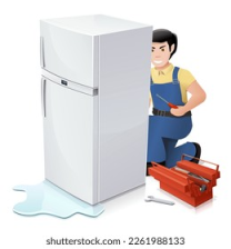 Expert fridge repair solutions