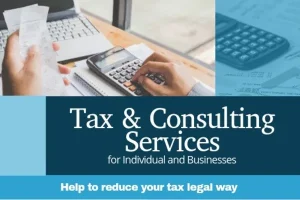 Tax Optimization Experts