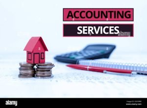 Audit services available