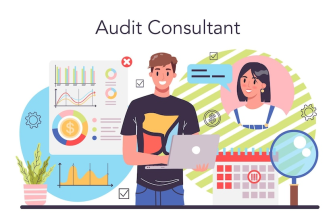 Experienced financial auditor for you