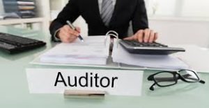 The expert guide for your audit issues