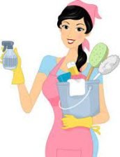 Clean your house fully with ease