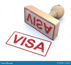 Visa consultancy services for any country