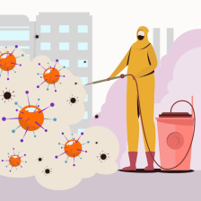House cleaning and pest control