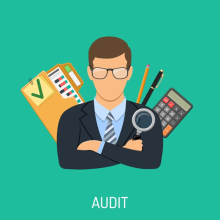 Expert auditor for financial clarity