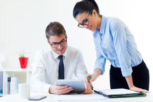 Expert auditor for financial clarity
