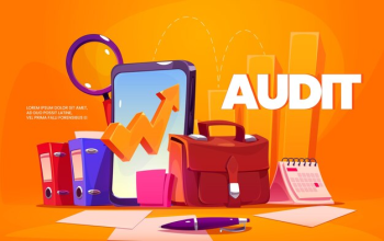 Expert Audit Services for Clarity