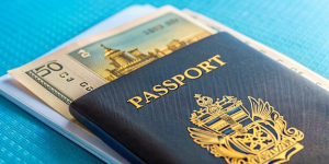 Freelance, family visa consultant