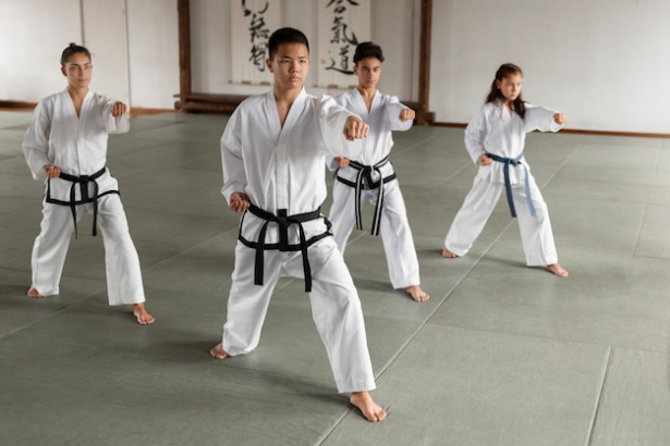 Karate Classes with Experienced Instructors