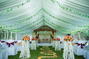 Dream wedding planning creators