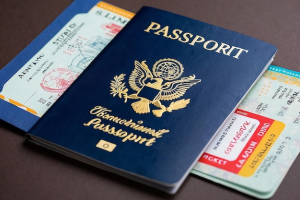 Visa consultant and filer