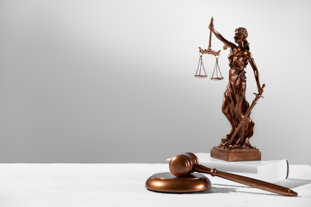 Corporate and commercial law assistance
