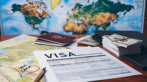 World wide visa services