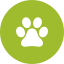 Pets Services