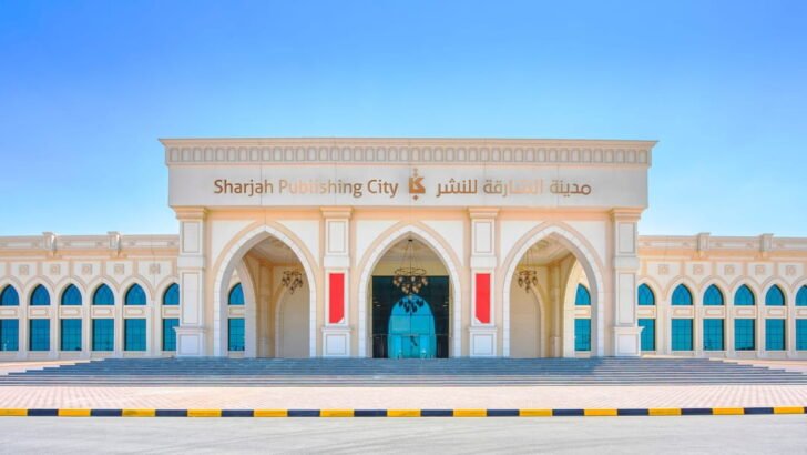 Your UAE Business Setup Partner – SPC Free Zone