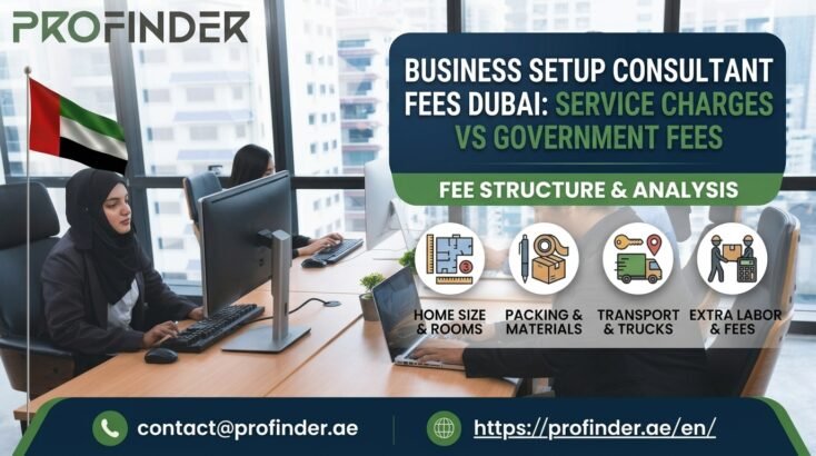 Business Setup Consultant Fees Dubai: Service Charges vs Government Fees